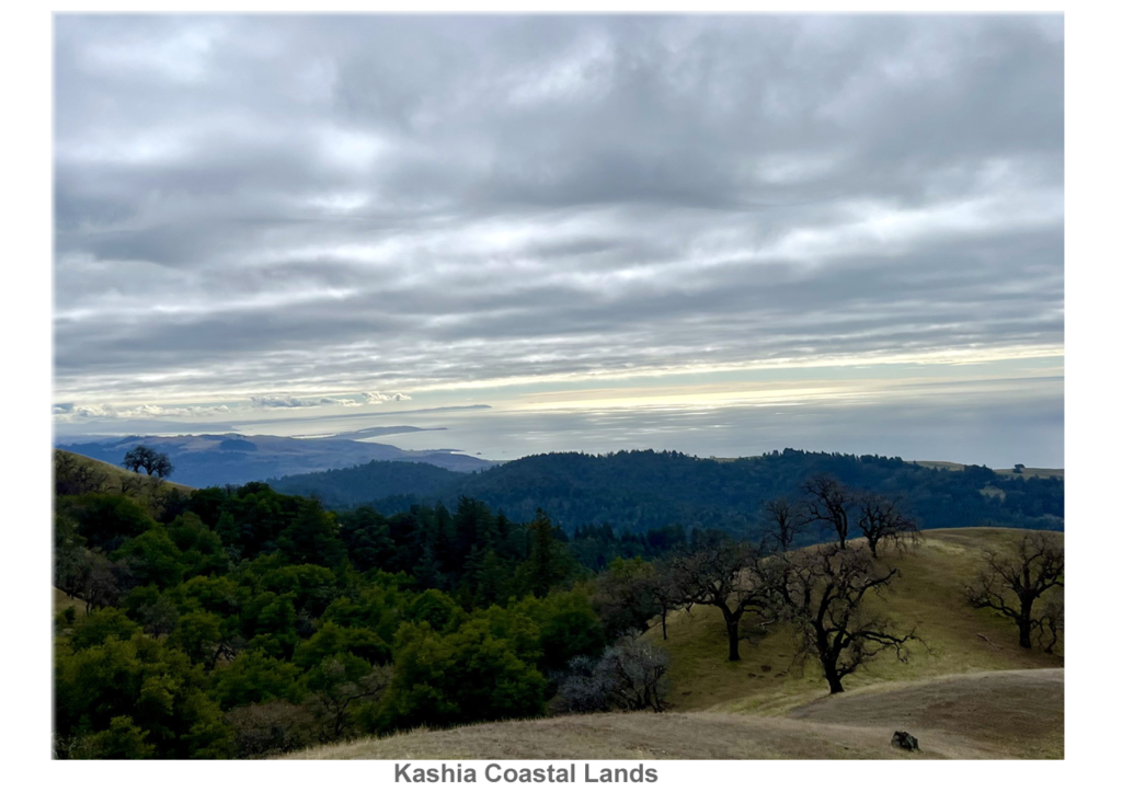 coast 3 Stewartspoint Covid-19 Information